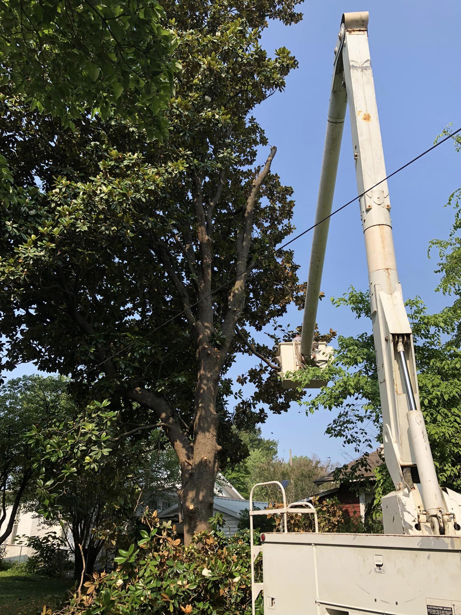 crane bucket tree removal carmi