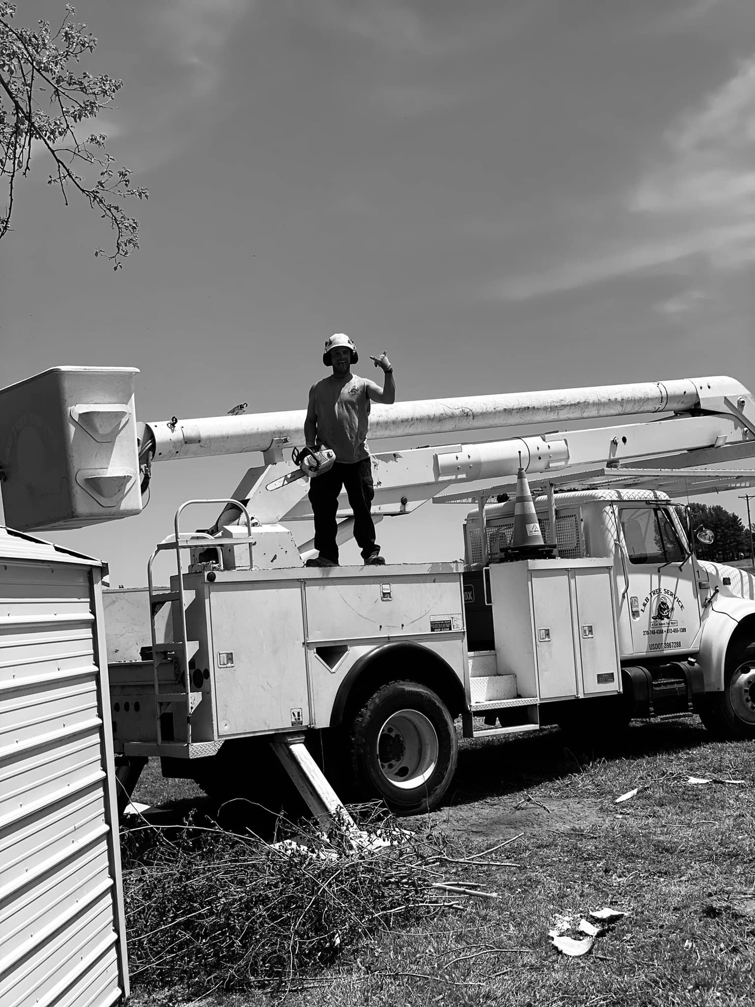 man on a bucket tree removal service carmi
