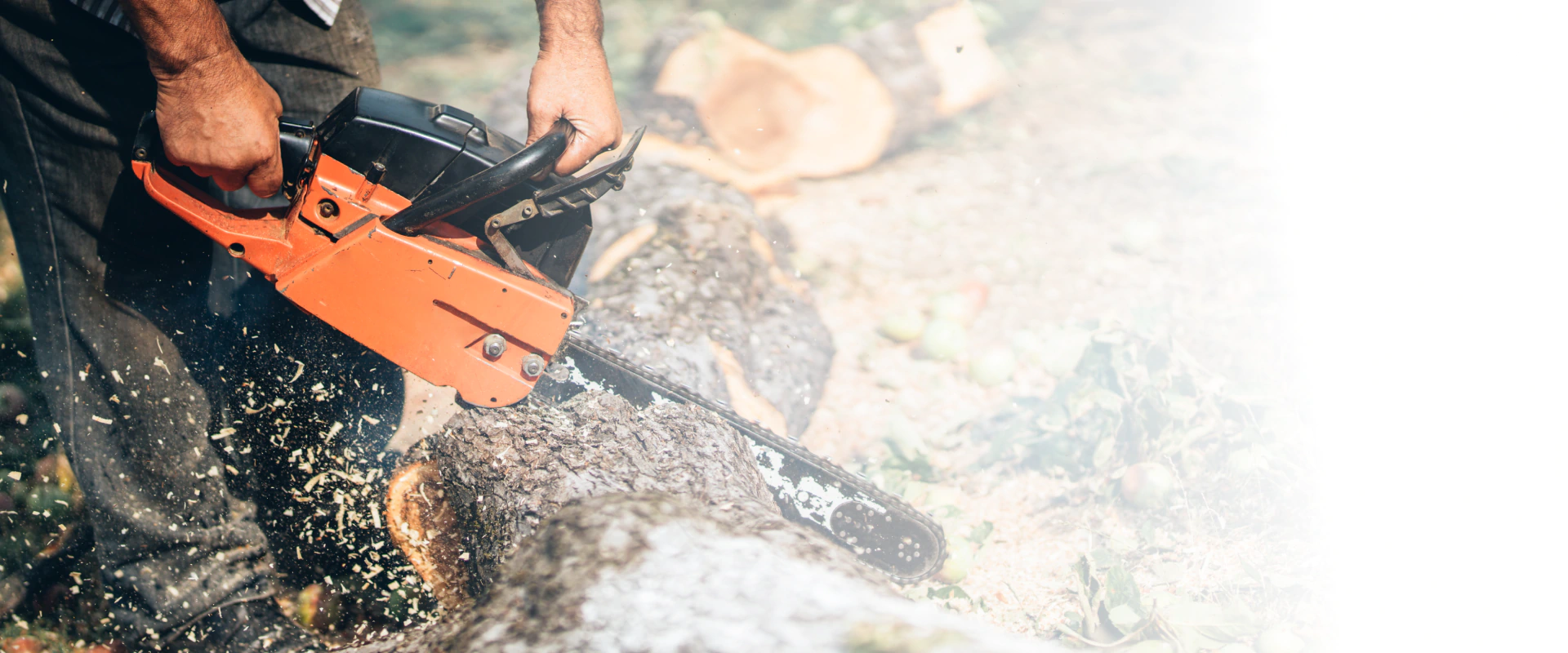 man cutting a tree trunk